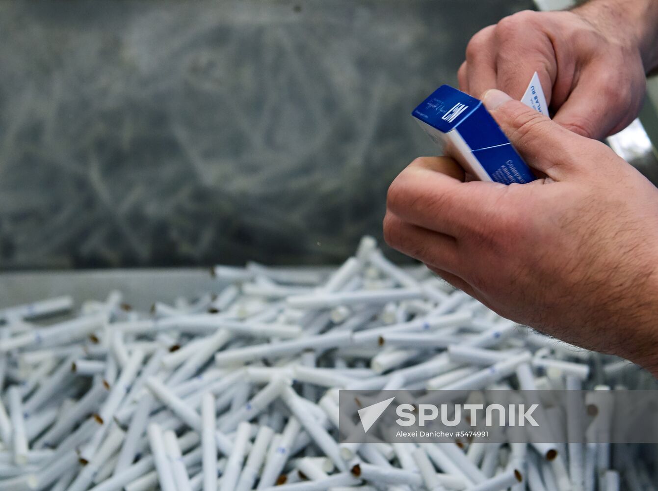 Philip Morris Izhora factory in Leningrad Region