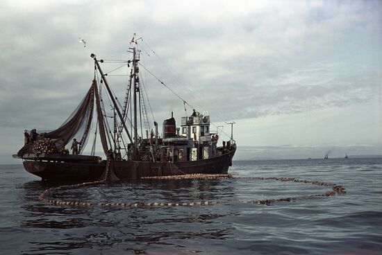 Fishing off the Sakhalin coast
