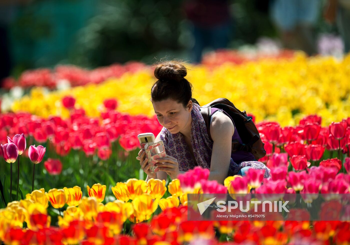 Tulip Parade at Nikitsky Botanical Garden