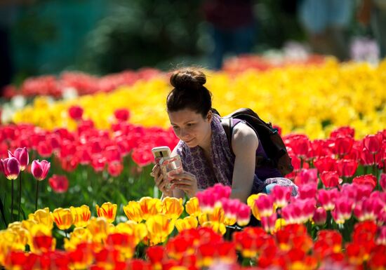 Tulip Parade at Nikitsky Botanical Garden