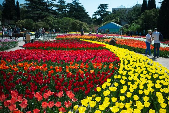 Tulip Parade at Nikitsky Botanical Garden