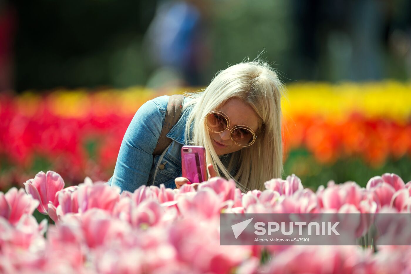 Tulip Parade at Nikitsky Botanical Garden