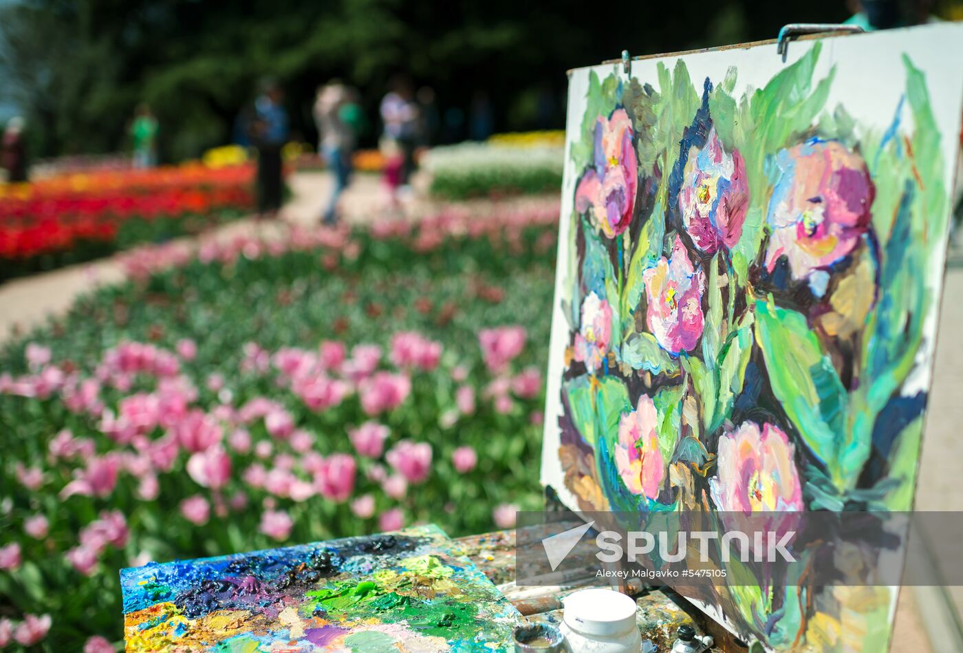 Tulip Parade at Nikitsky Botanical Garden
