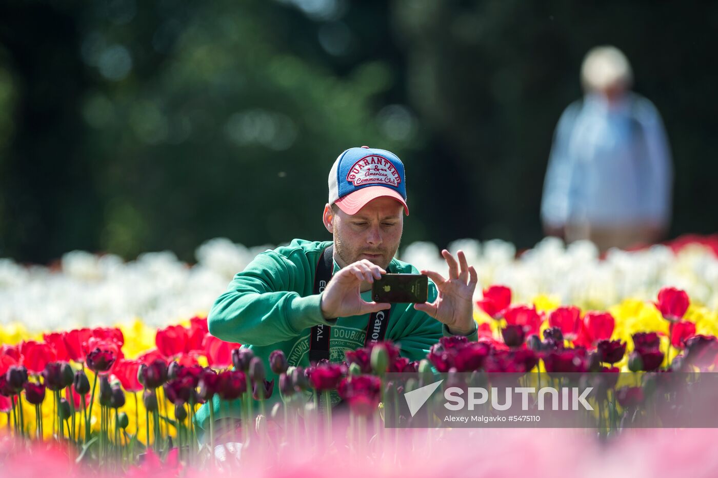 Tulip Parade at Nikitsky Botanical Garden