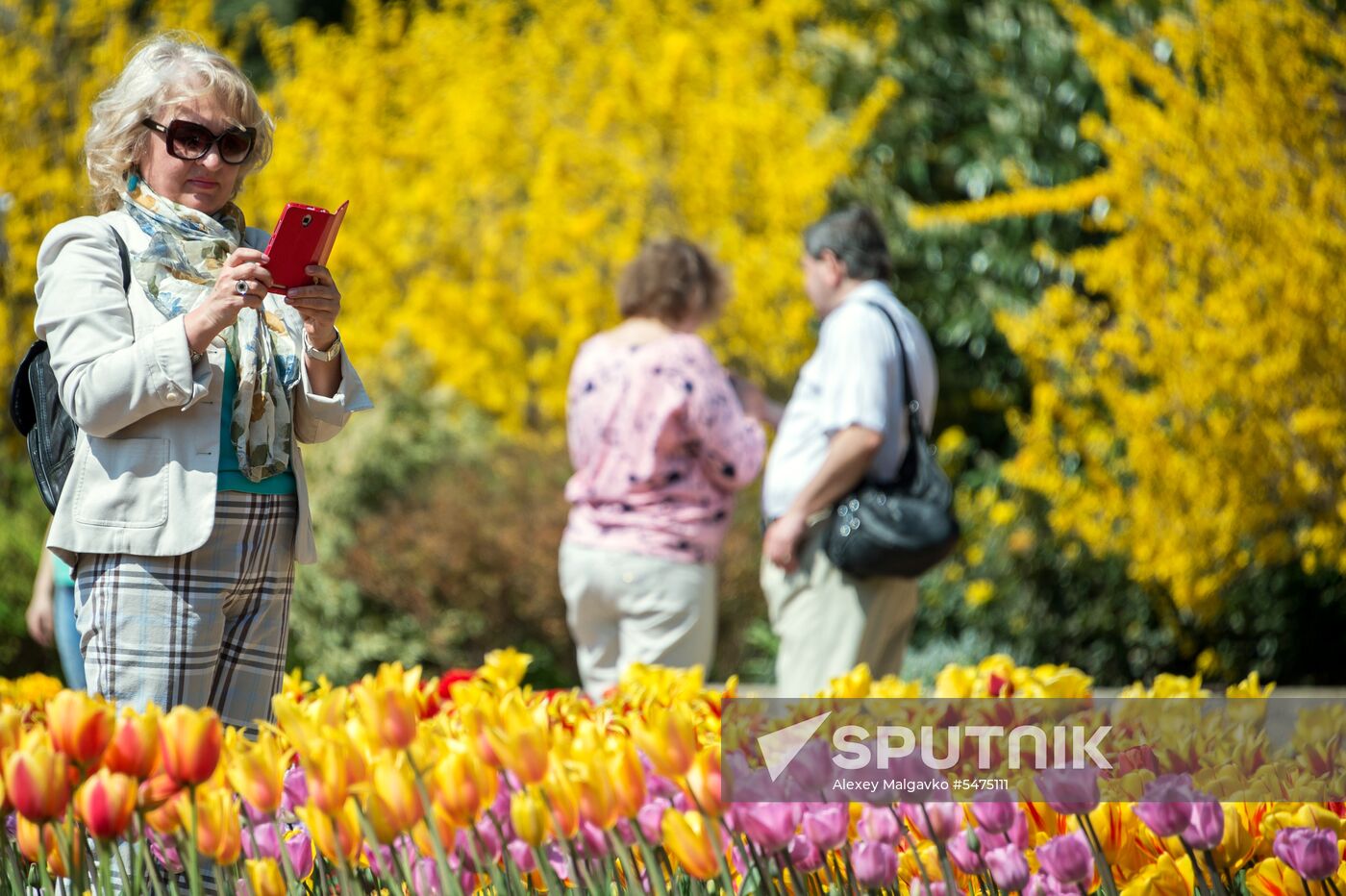 Tulip Parade at Nikitsky Botanical Garden