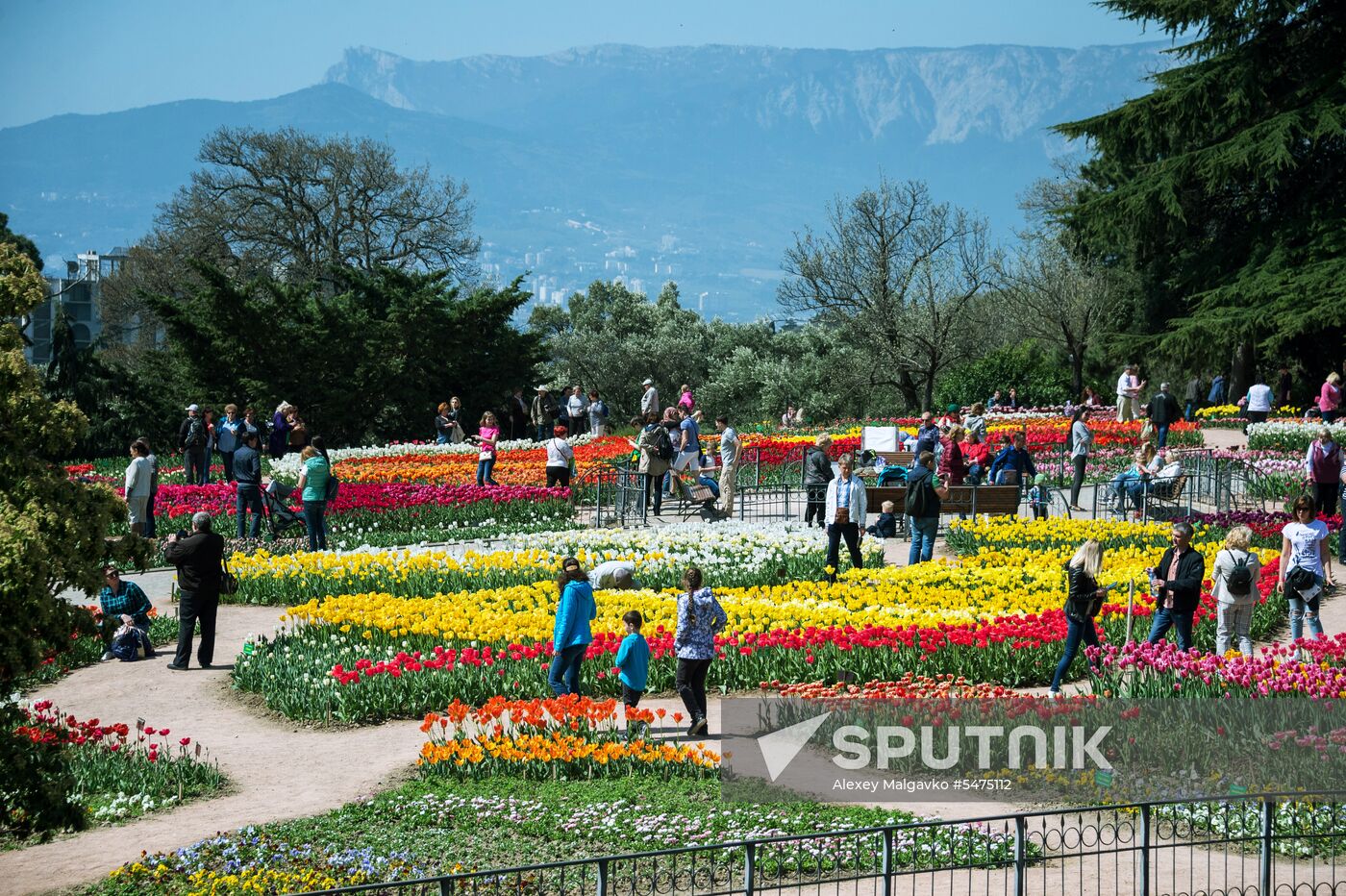 Tulip Parade at Nikitsky Botanical Garden