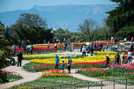 Tulip Parade at Nikitsky Botanical Garden