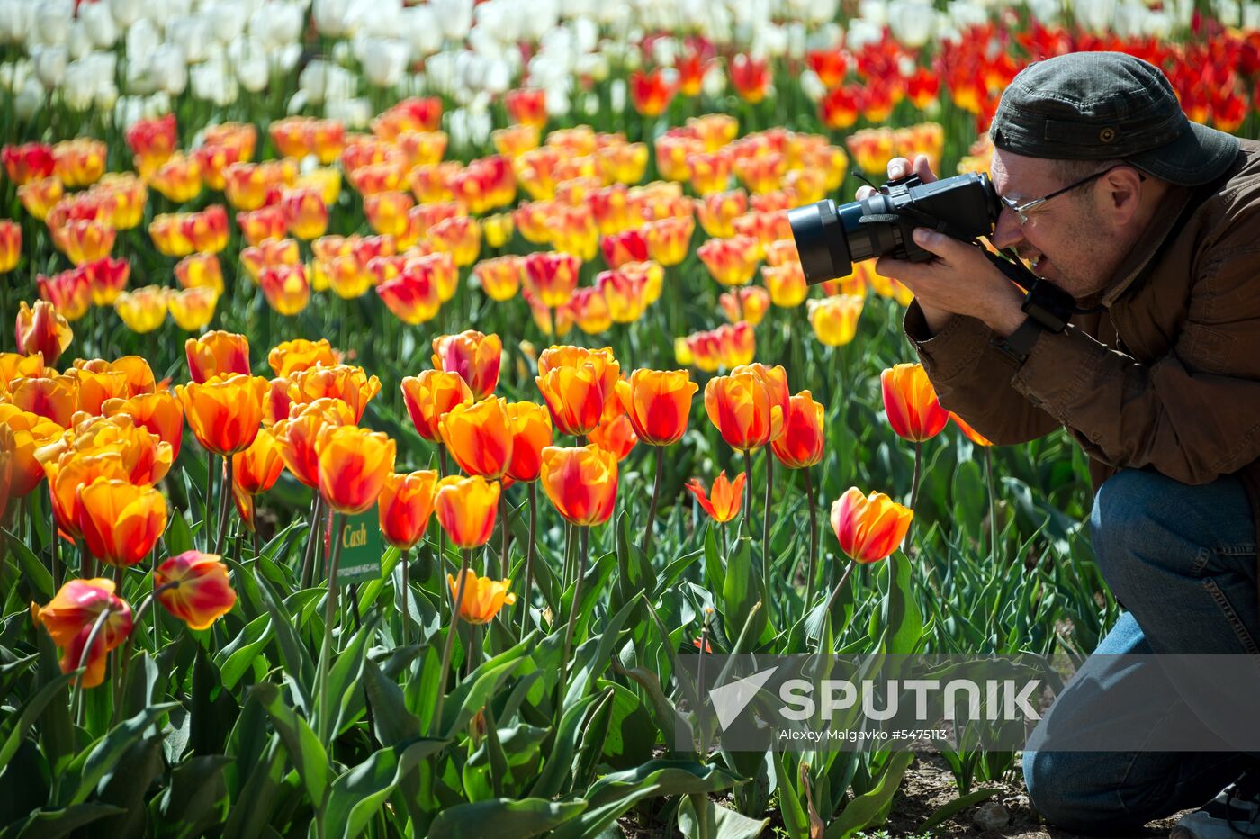 Tulip Parade at Nikitsky Botanical Garden