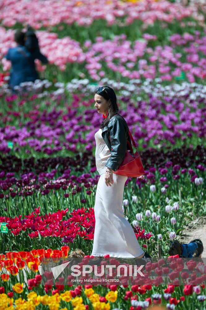 Tulip Parade at Nikitsky Botanical Garden