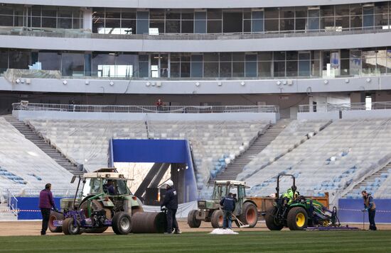 Turf laid at Samara Arena