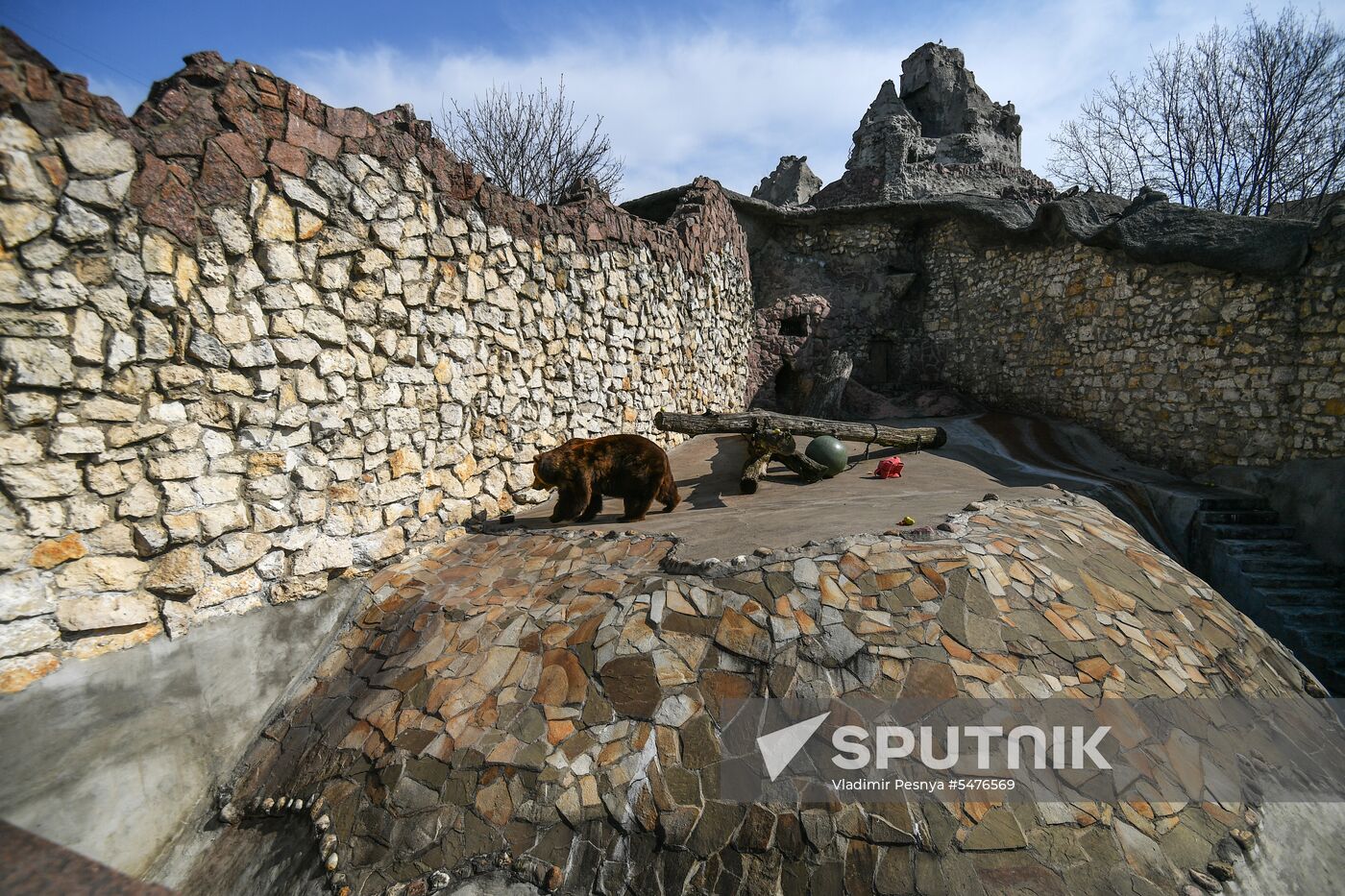 Bears woke up after winter hibernation in Moscow Zoo