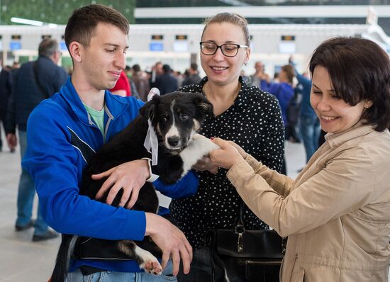 New airport terminal opens in Simferopol