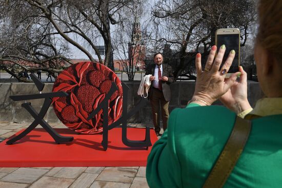 Exhibition 'Ming dynasty: The radiance of knowledge'