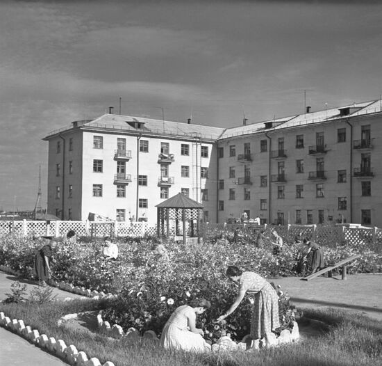 Urban gardening