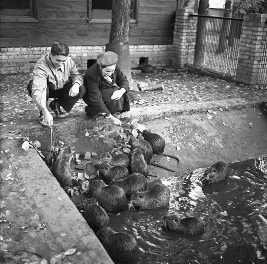 Young naturalists