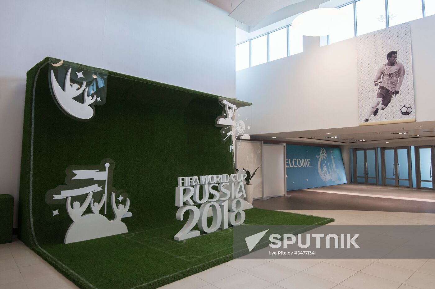 Fisht Stadium in Sochi
