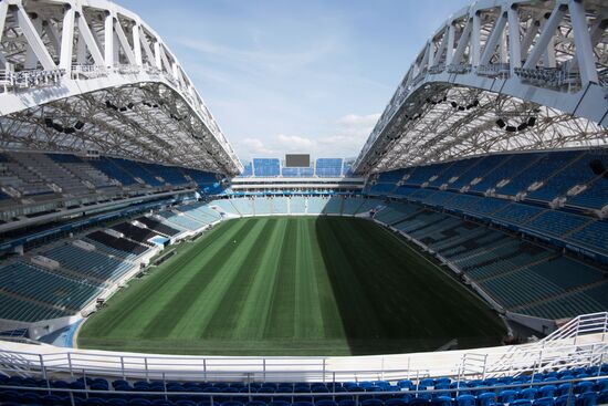 Fisht Stadium in Sochi