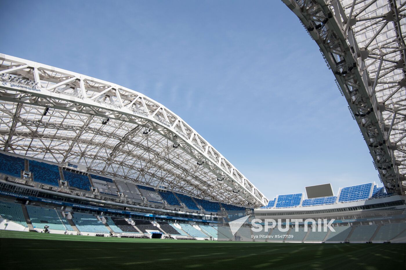 Fisht Stadium in Sochi