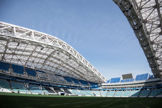 Fisht Stadium in Sochi