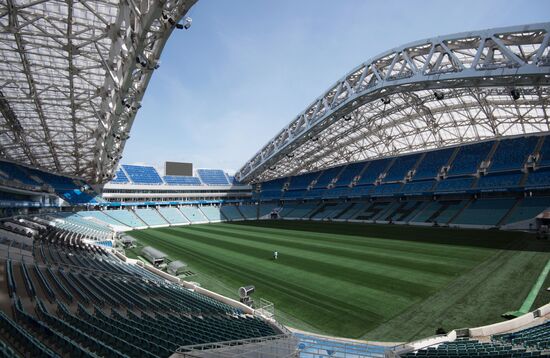 Fisht Stadium in Sochi
