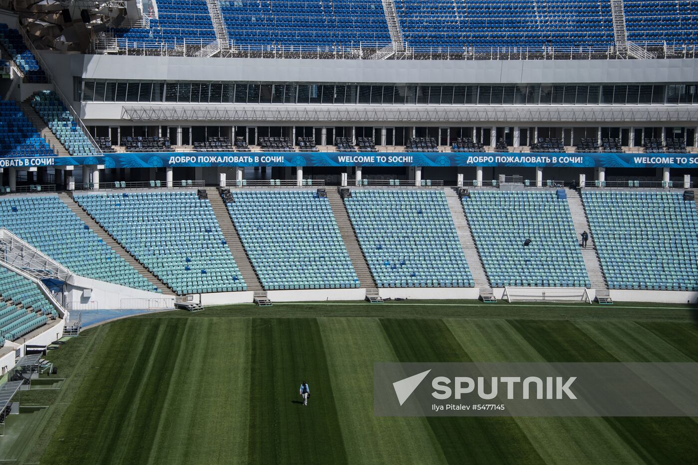 Fisht Stadium in Sochi