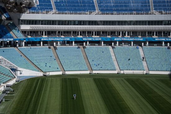 Fisht Stadium in Sochi