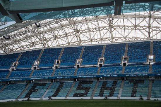 Fisht Stadium in Sochi