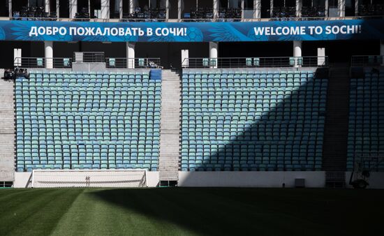 Fisht Stadium in Sochi
