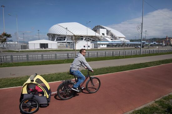 Fisht Stadium in Sochi
