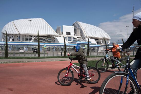 Fisht Stadium in Sochi
