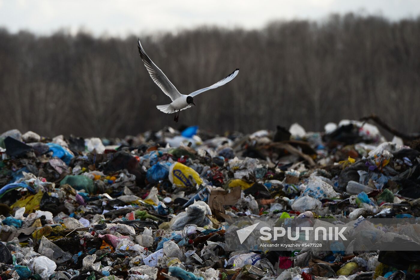 Gusinobrodsky solid domestic waste landfill
