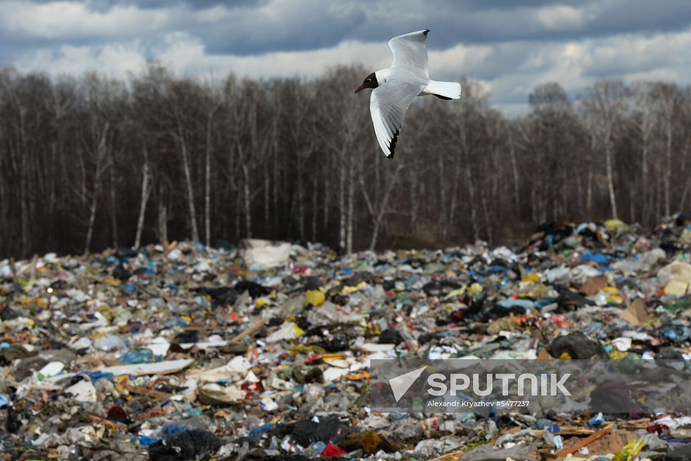 Gusinobrodsky solid domestic waste landfill
