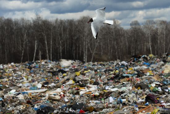 Gusinobrodsky solid domestic waste landfill