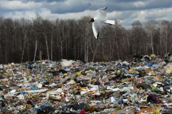 Gusinobrodsky solid domestic waste landfill