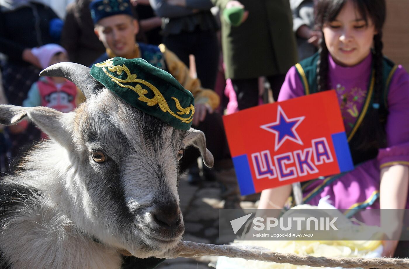 Choosing oracle goat to predict outcome of 2018 FIFA World Cup matches
