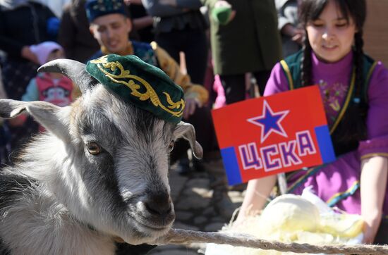 Choosing oracle goat to predict outcome of 2018 FIFA World Cup matches