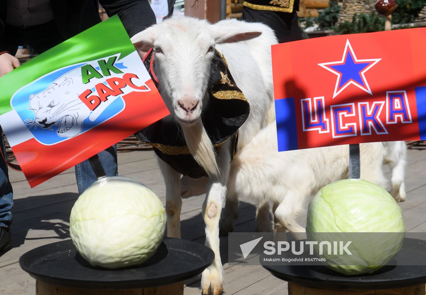 Choosing oracle goat to predict outcome of 2018 FIFA World Cup matches