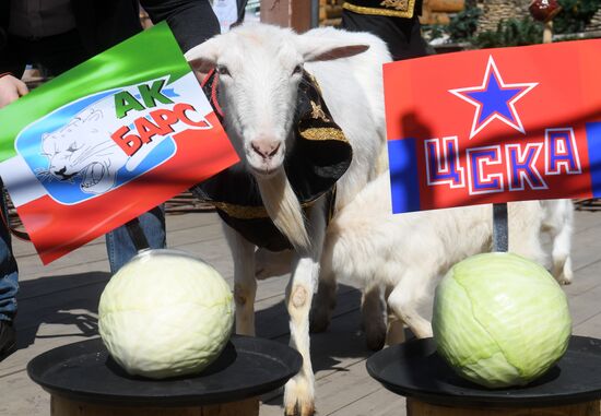 Choosing oracle goat to predict outcome of 2018 FIFA World Cup matches