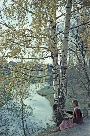 Fall