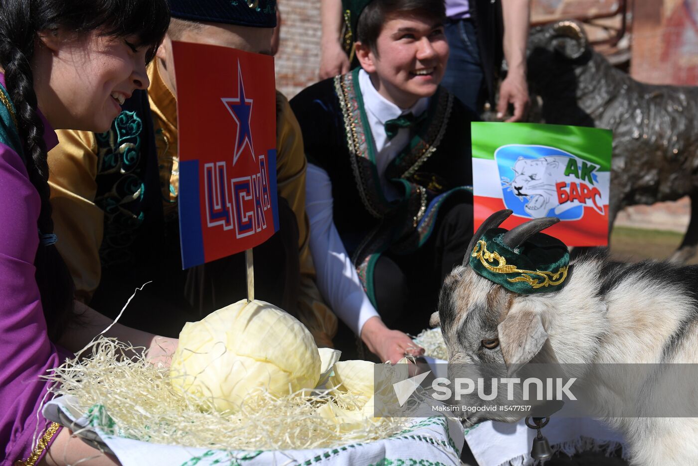 Choosing oracle goat to predict outcome of 2018 FIFA World Cup matches