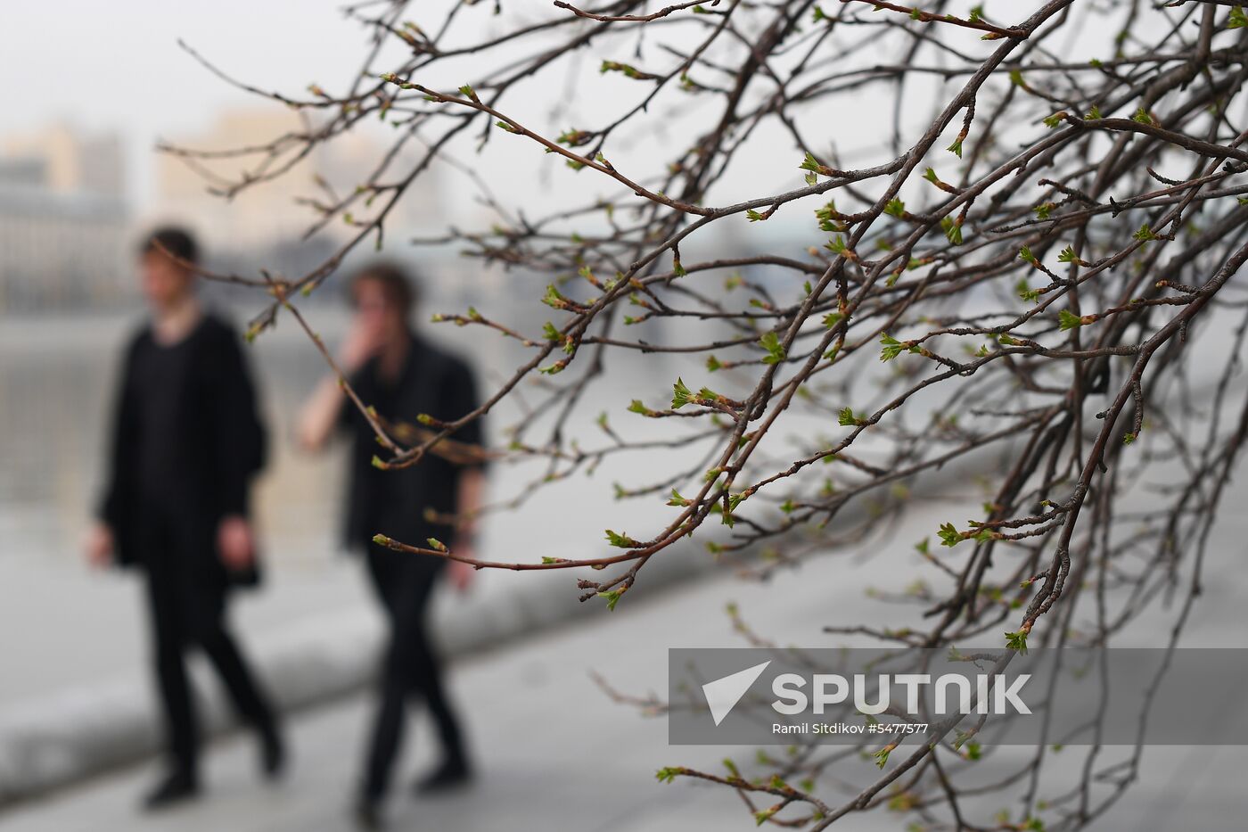 Spring in Moscow