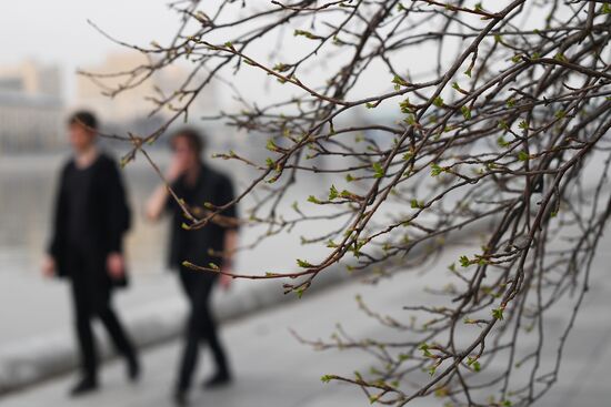 Spring in Moscow