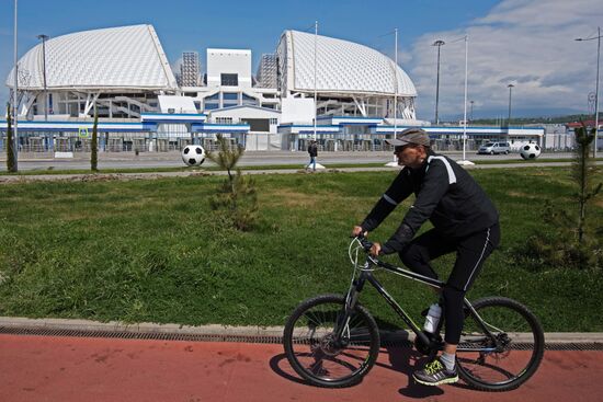 Fisht Stadium in Sochi