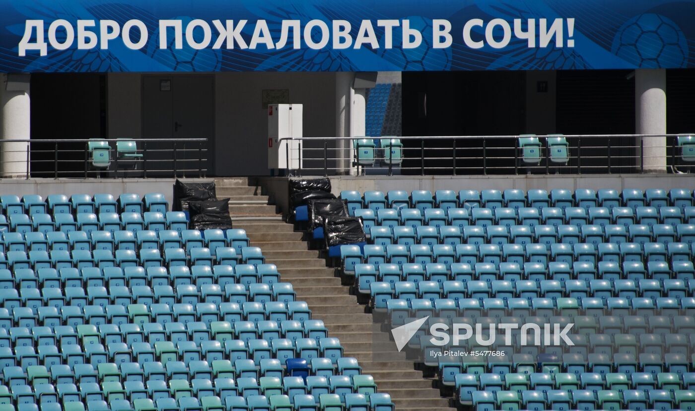 Fisht Stadium in Sochi