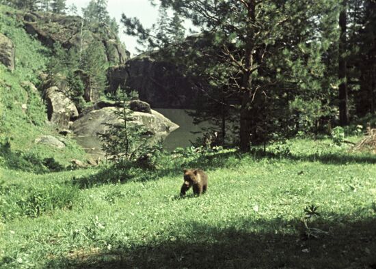 Sikhote-Alin Biosphere Reserve