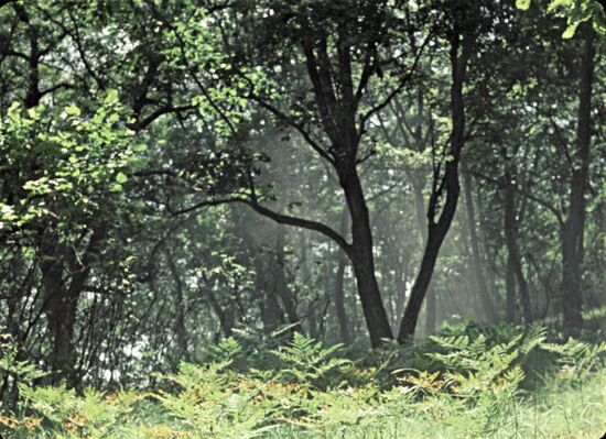 Sikhote-Alin Biosphere Reserve