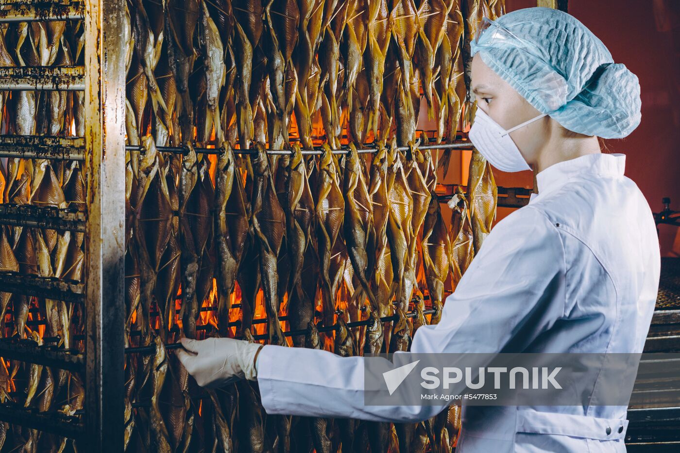 Fish plant in Buryatia