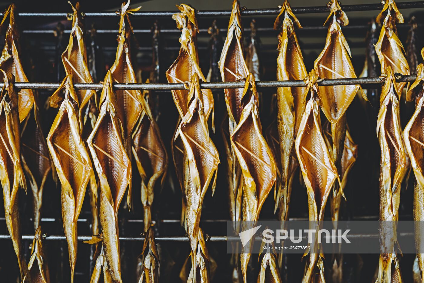 Fish plant in Buryatia