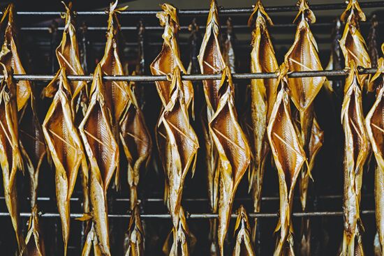 Fish plant in Buryatia
