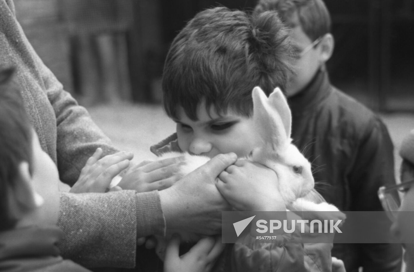 Boarding school No. 5 for blind children named after Hero of the USSR Yakov Batyuk